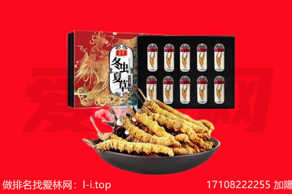 漳州诏安县回收虫草.jpg